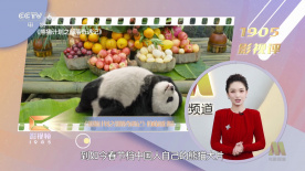 国产日韩欧美一区二区三区视频